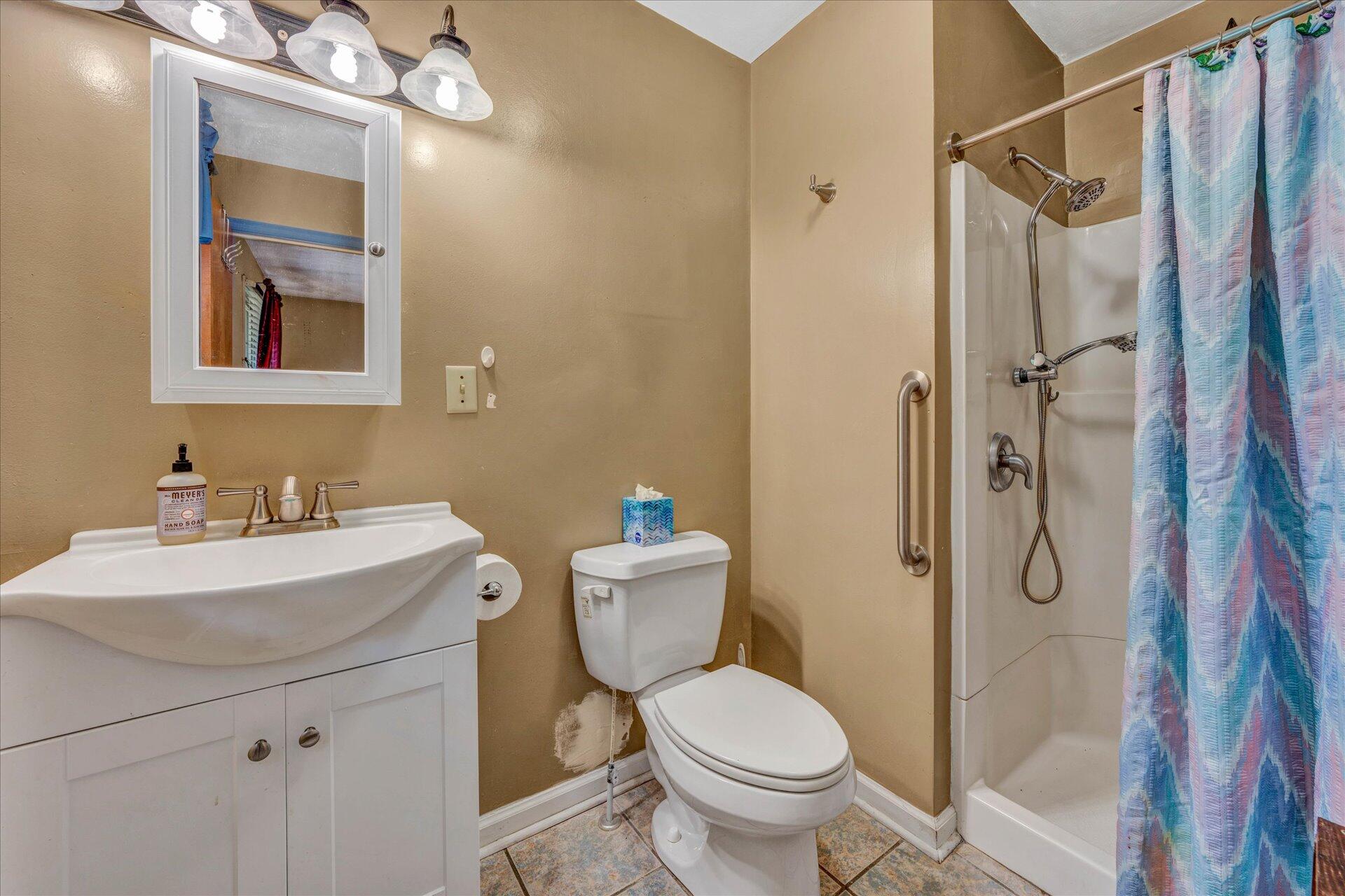 1182 Rabbit Drive Thaxton, VA 24174 - Photo 19 of 58 a bathroom with a sink toilet and shower
