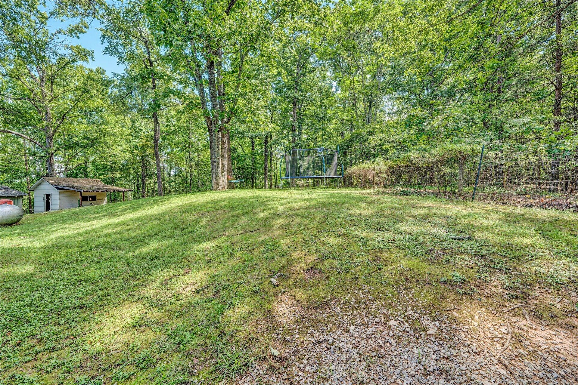 1182 Rabbit Drive Thaxton, VA 24174 - Photo 43 of 58 a big yard with lots of green space and deers