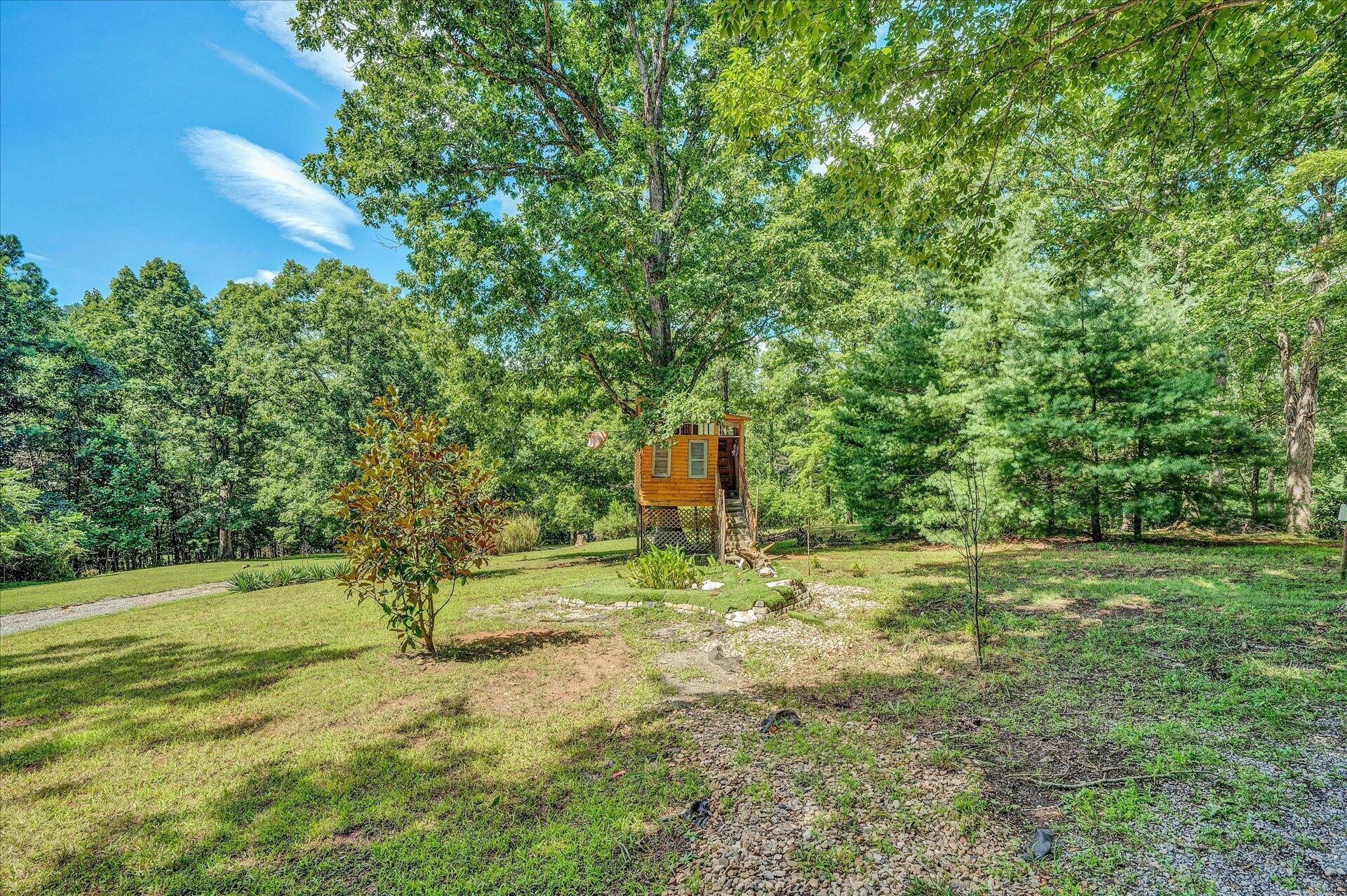 1182 Rabbit Drive Thaxton, VA 24174 - Photo 54 of 58 a fire hydrant in the middle of a field
