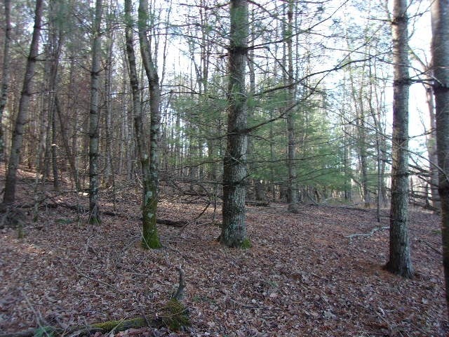 Tbd Big Ridge Road, Unit 2 Independence, VA 24348 - Photo 1 of 4 Gallery Image 1