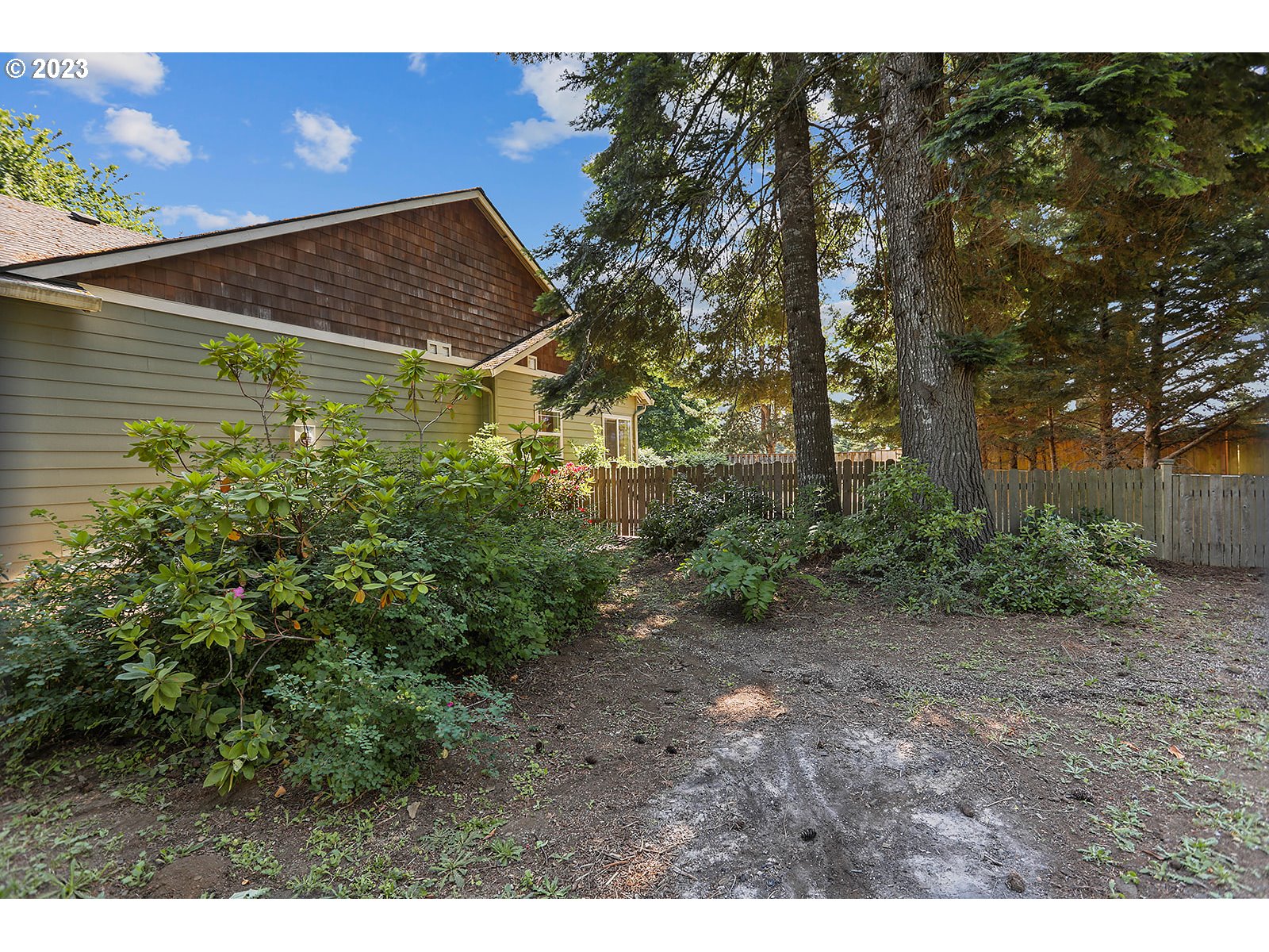 742 Smith Beckon Road Carson, WA 98610 - Photo 6 of 46 Gallery Image 6