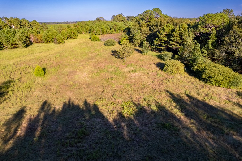 2226 Randall Wade Road Headland, AL 36345 - Photo 55 of 60