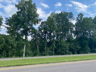 Tbd Deck Valley Road, Unit TR 1 Bristol, TN 37620 - Photo 1 of 10 Deck Valley 2