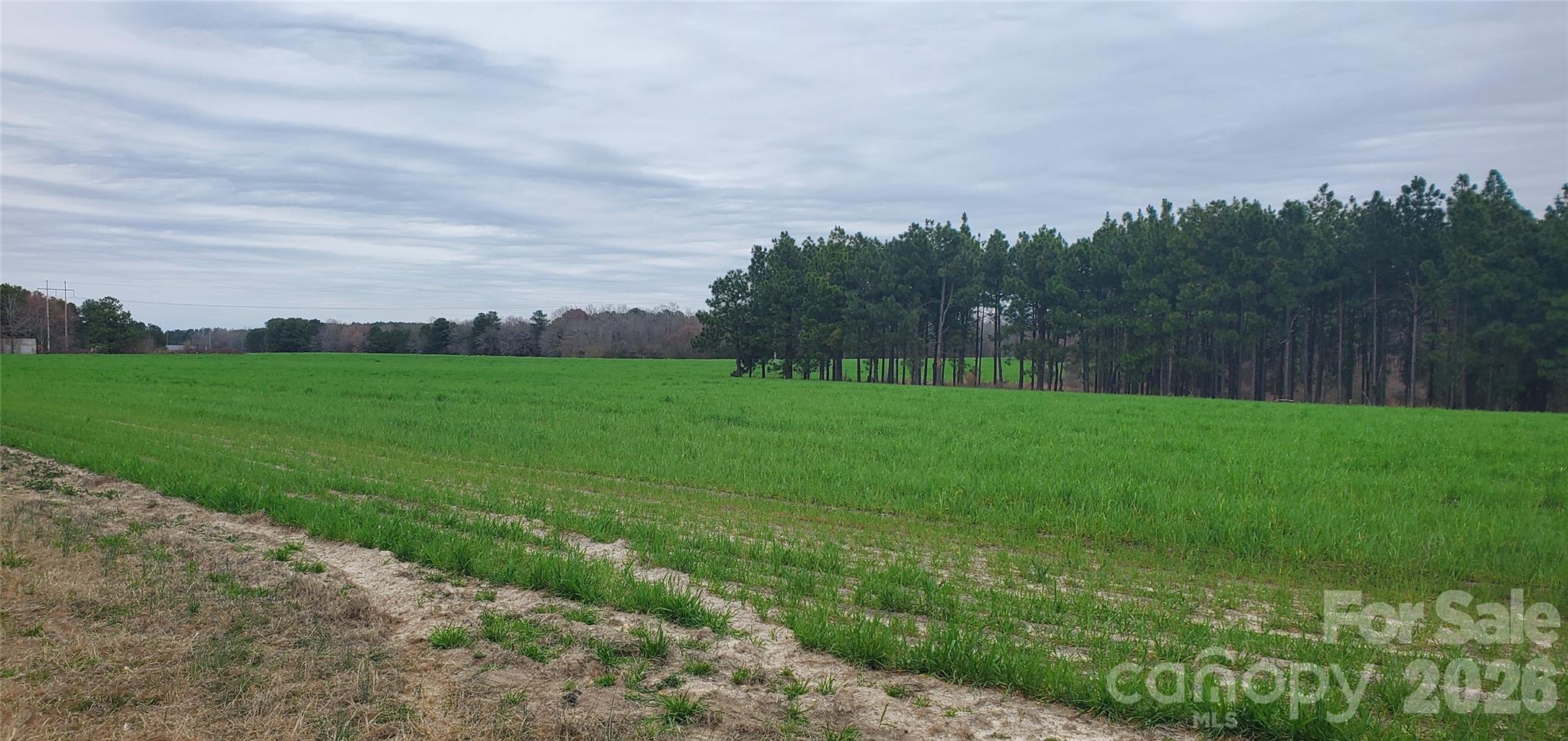 650 Farmers Market Road Biscoe, NC 27209 - Photo 3 of 26 Gallery Image 3