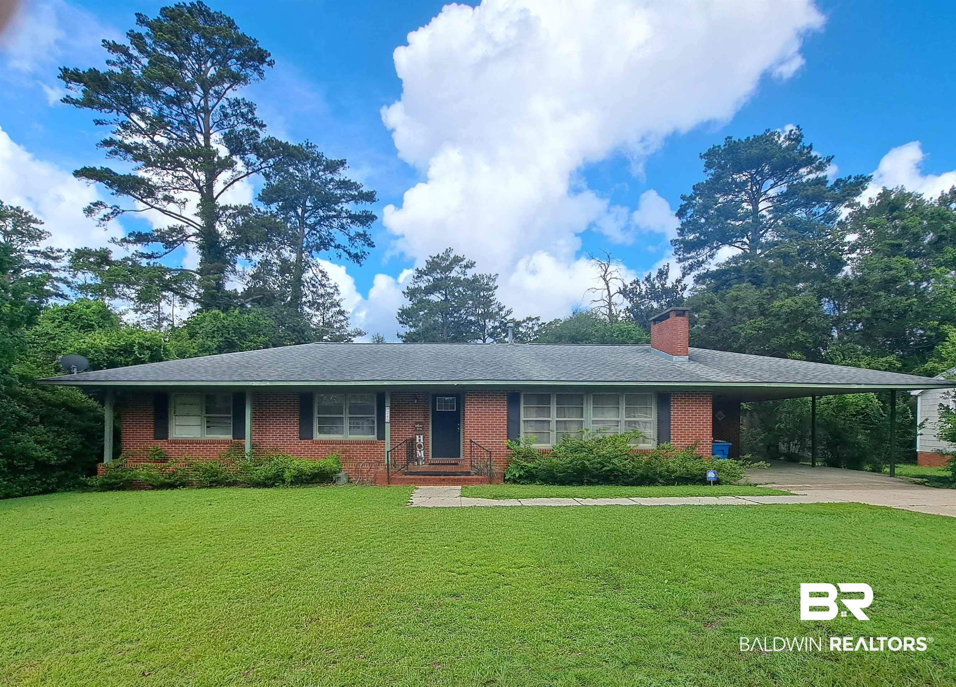 249 Newton Parkway Evergreen, AL 36401 - Photo 1 of 28 Ranch-style home featuring a front lawn, driveway, a carport, and a chimney