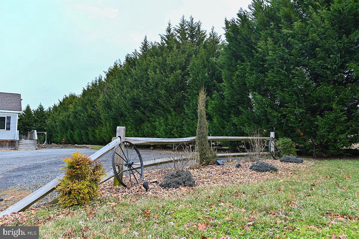 368 Almond Road Pittsgrove, NJ 08318 - Photo 7 of 40 a view of outdoor space with garden