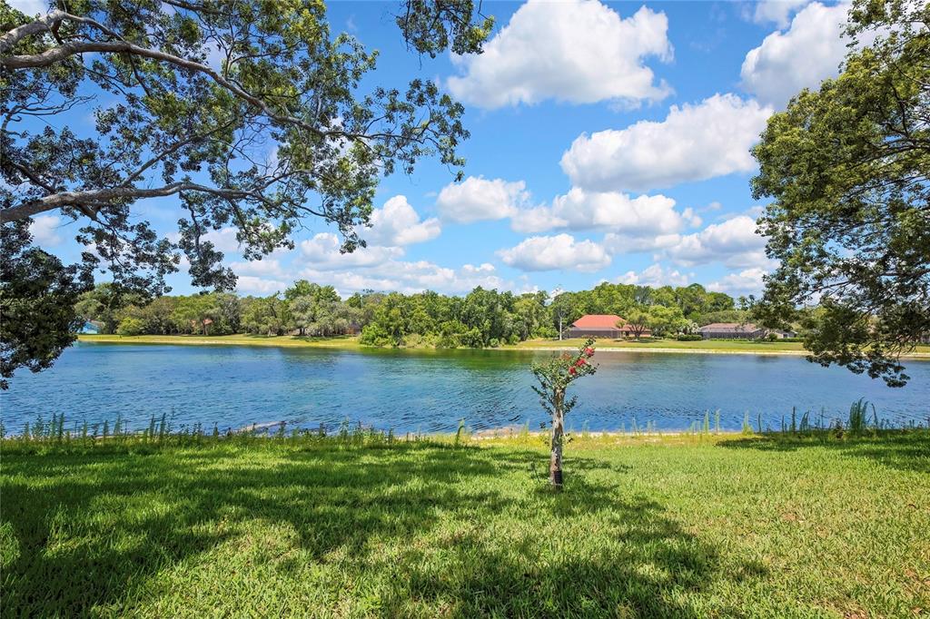 4293 River Birch Drive Spring Hill, FL 34607 - Photo 63 of 79