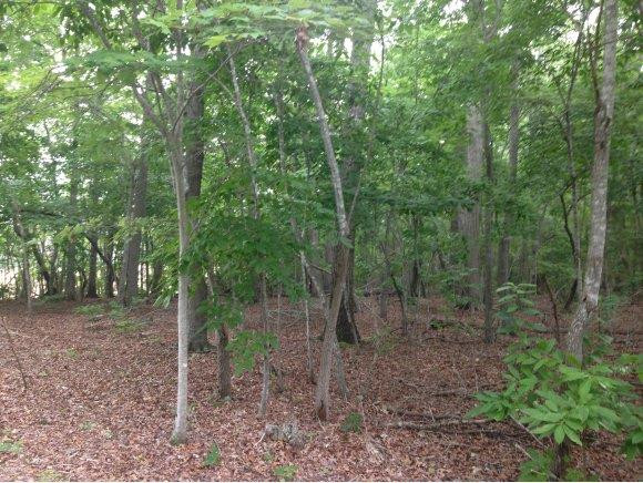1 Yarborough Road Mebane, NC 27302 - Photo 2 of 4 1 Acre Lot w Driveway