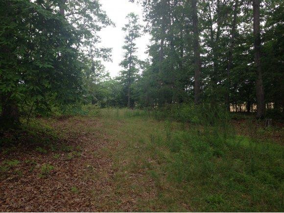 1 Yarborough Road Mebane, NC 27302 - Photo 3 of 4 1 Acre Lot w Driveway