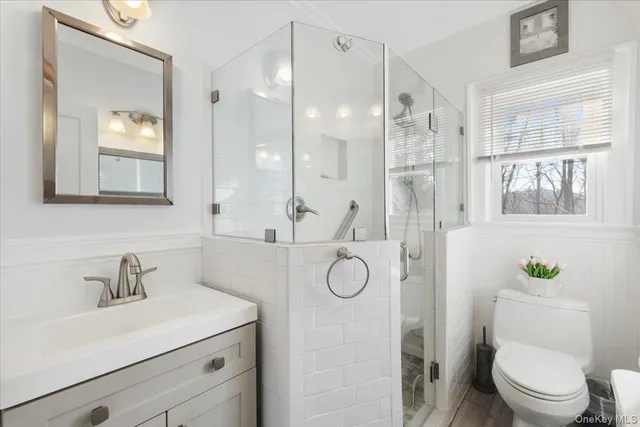 a bathroom with a sink a toilet a mirror a vanity and shower
