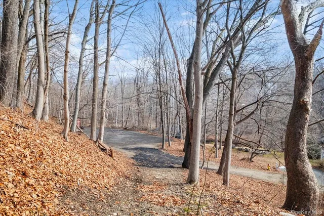 a view of a yard with trees