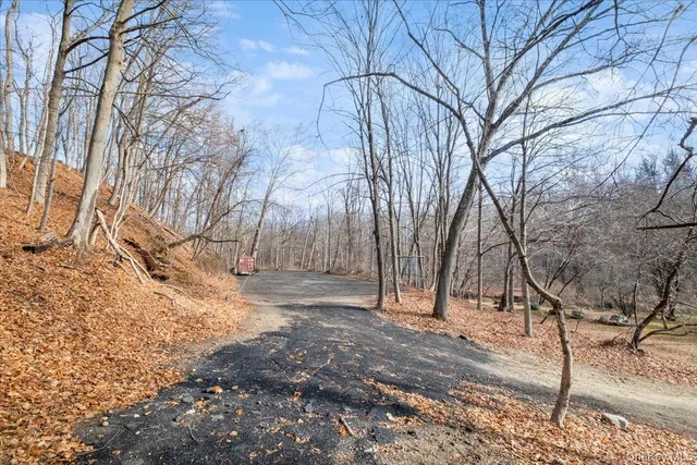 a view of yard along with trees
