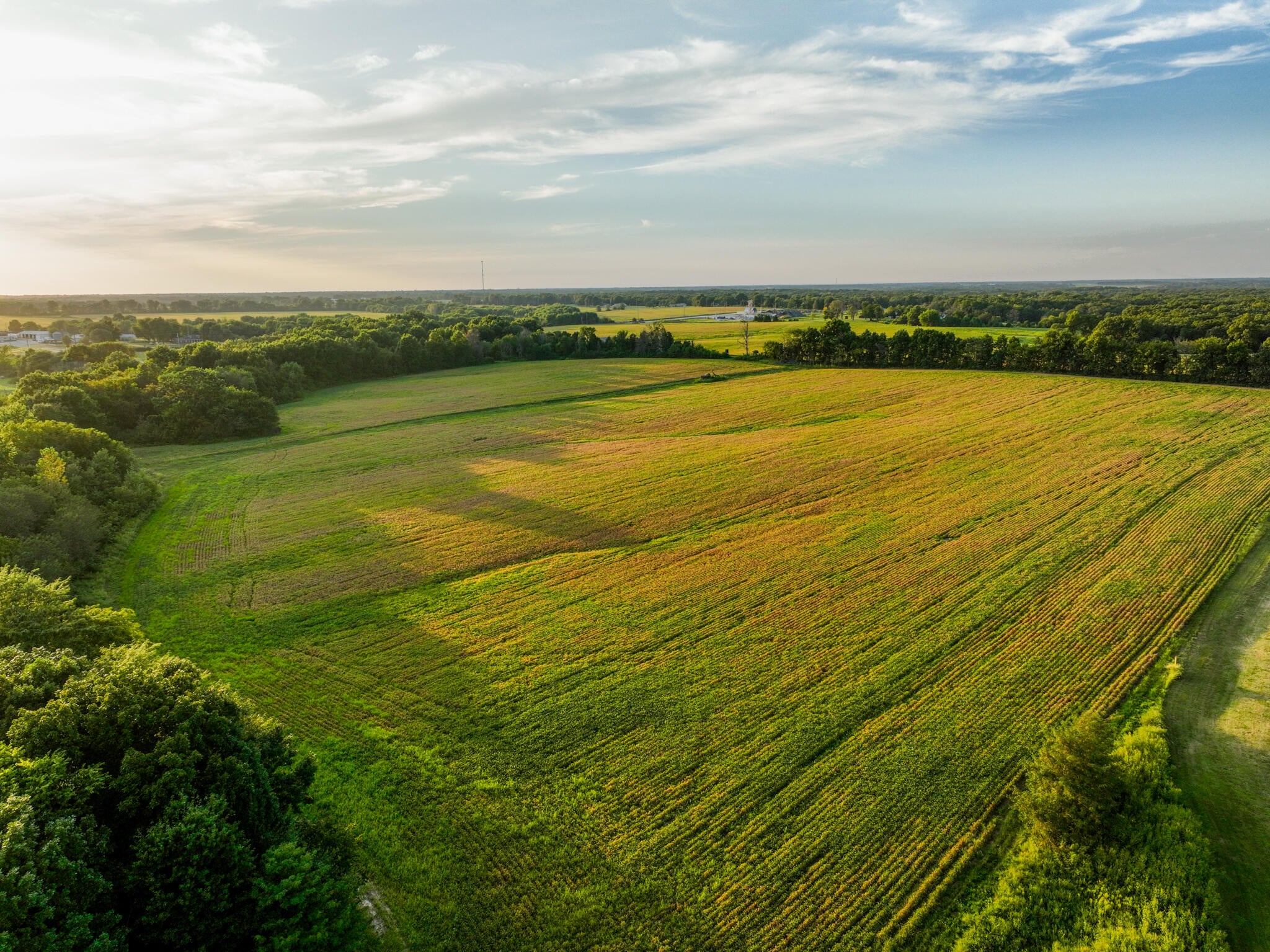 0 State Rd HH New Bloomfield, MO 65063 - Photo 8 of 18 Gallery Image 8