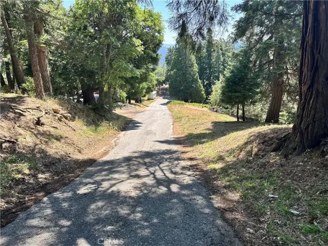 a view of a yard with trees