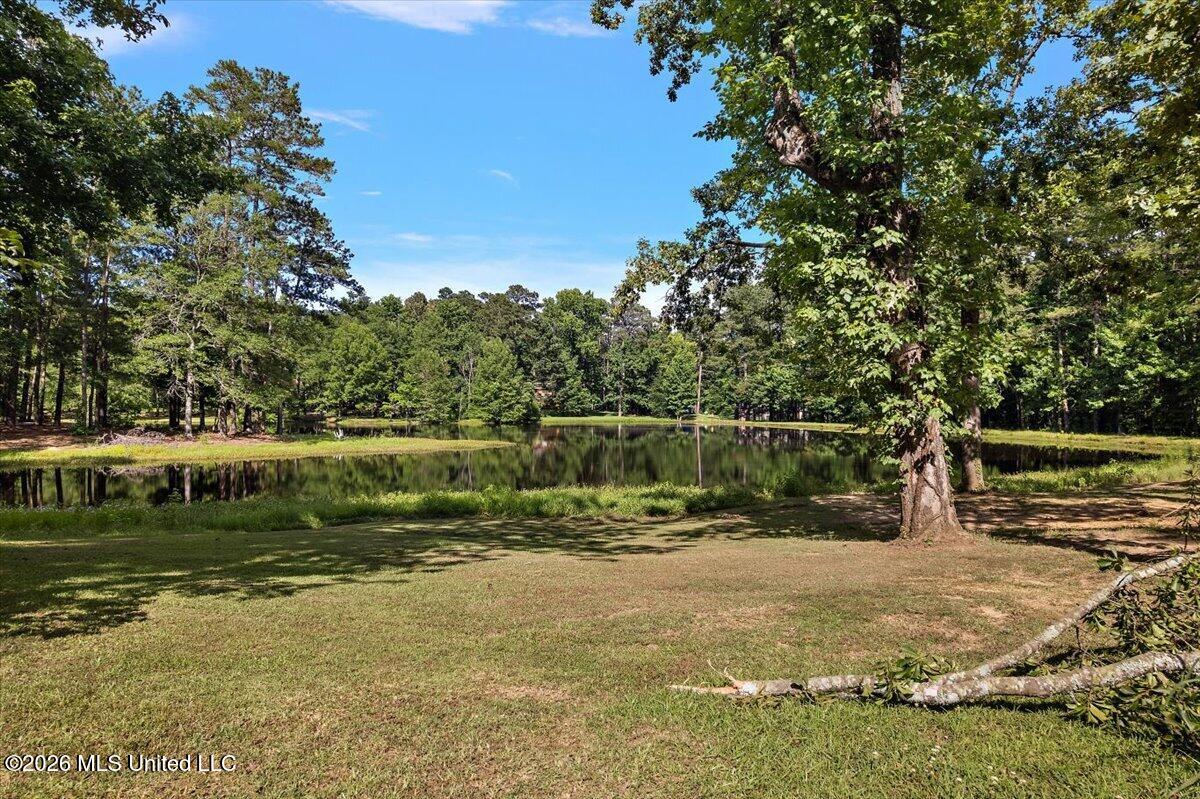 402 Springwood Circle Terry, MS 39170 - Photo 49 of 49 49-IHiDJI_0053
