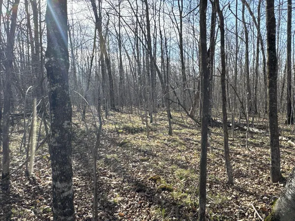 $219,000 | W9618 Mile Road, Exeland, WI 54835