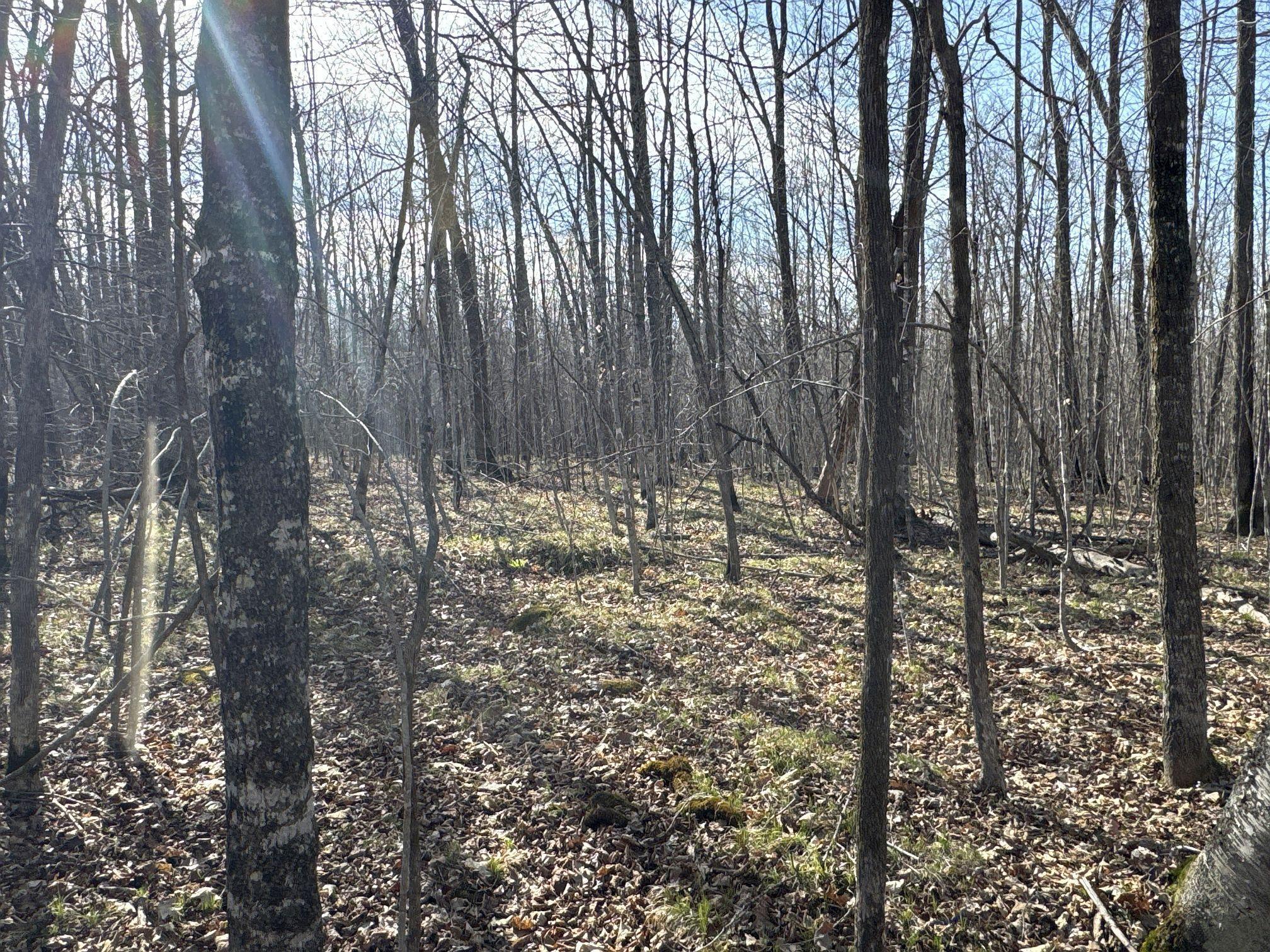 W9618 Mile Road Exeland, WI 54835 - Photo 24 of 38