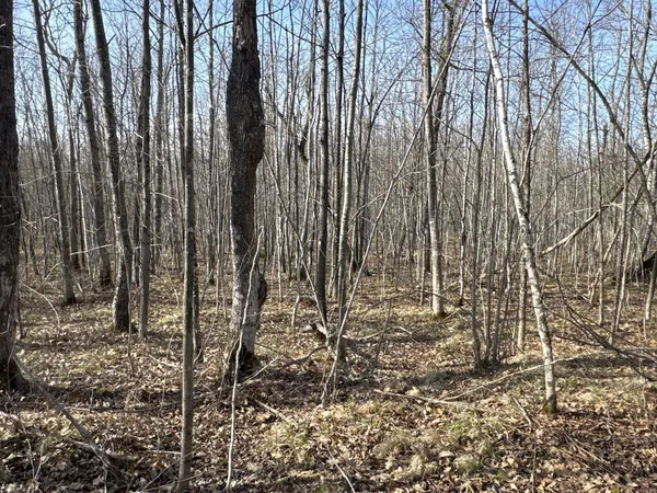 $219,000 | W9618 Mile Road, Exeland, WI 54835