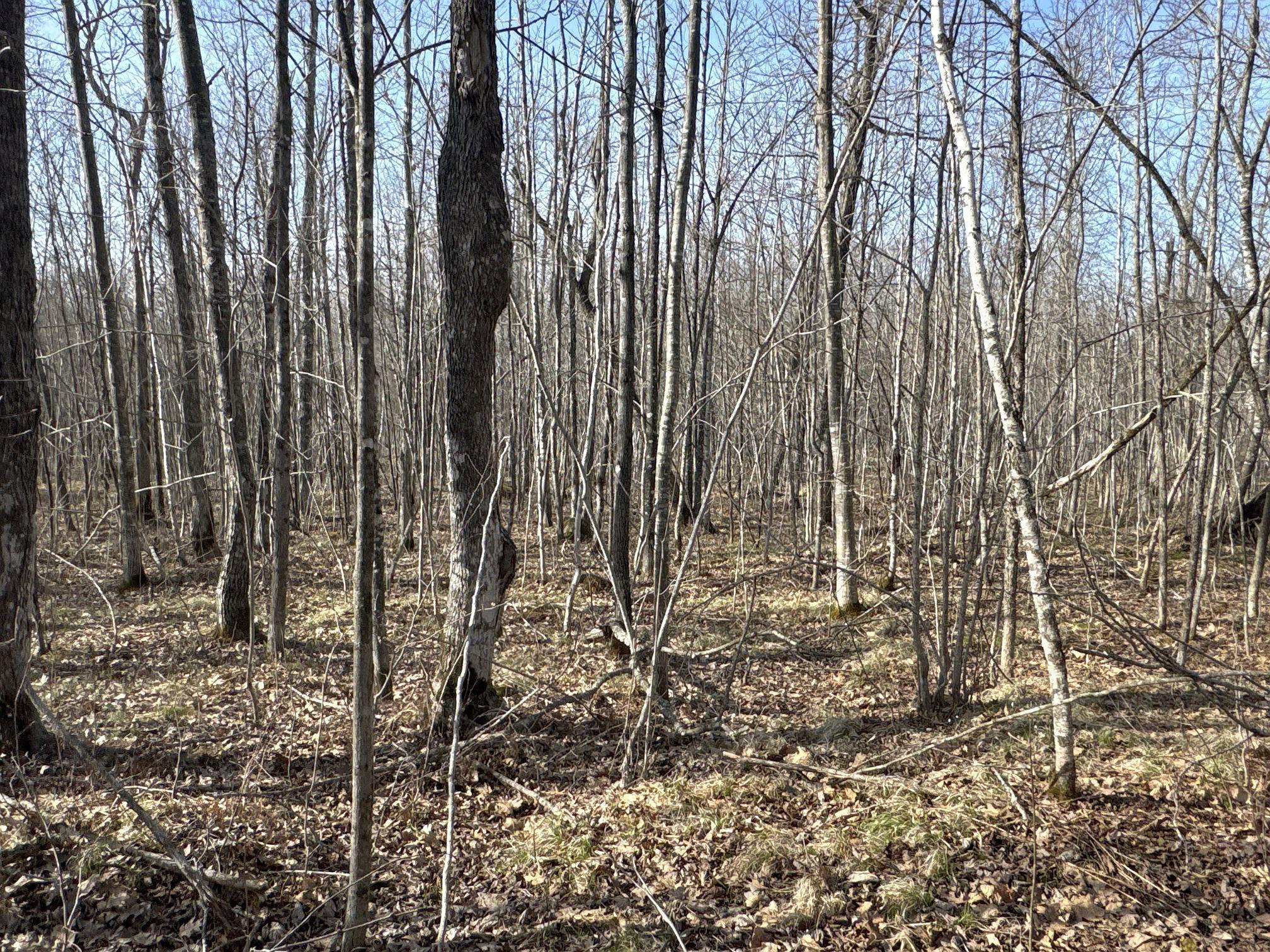 W9618 Mile Road Exeland, WI 54835 - Photo 25 of 38