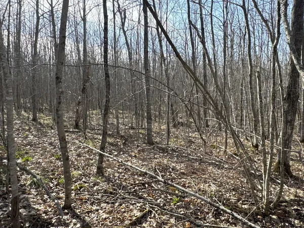 $219,000 | W9618 Mile Road, Exeland, WI 54835