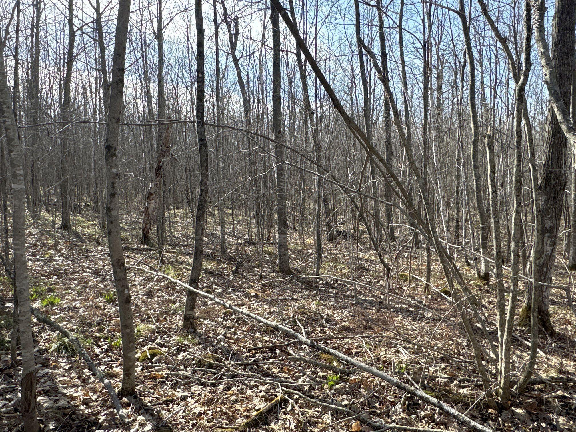 W9618 Mile Road Exeland, WI 54835 - Photo 26 of 38