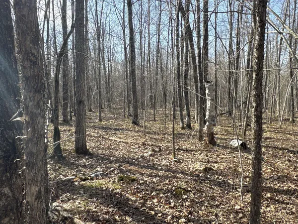 $219,000 | W9618 Mile Road, Exeland, WI 54835