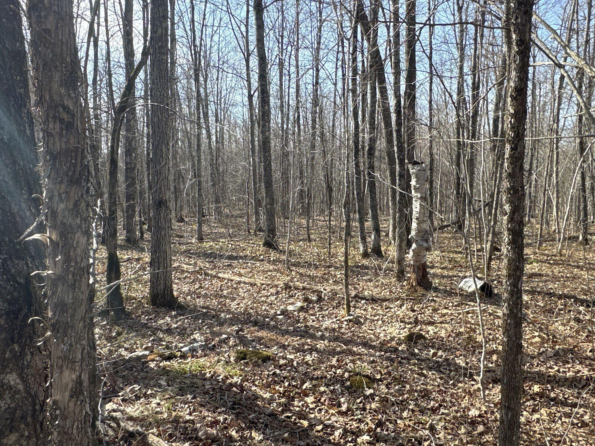 W9618 Mile Road Exeland, WI 54835 - Photo 27 of 38