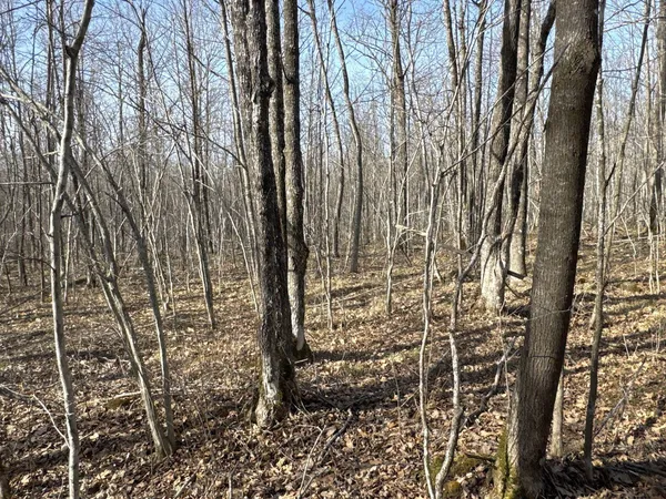 $219,000 | W9618 Mile Road, Exeland, WI 54835