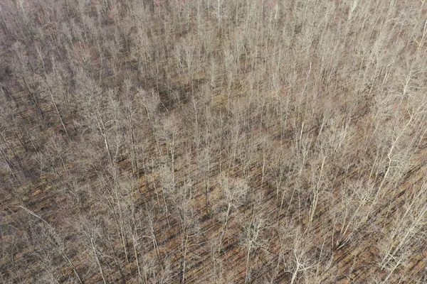 $219,000 | W9618 Mile Road, Exeland, WI 54835