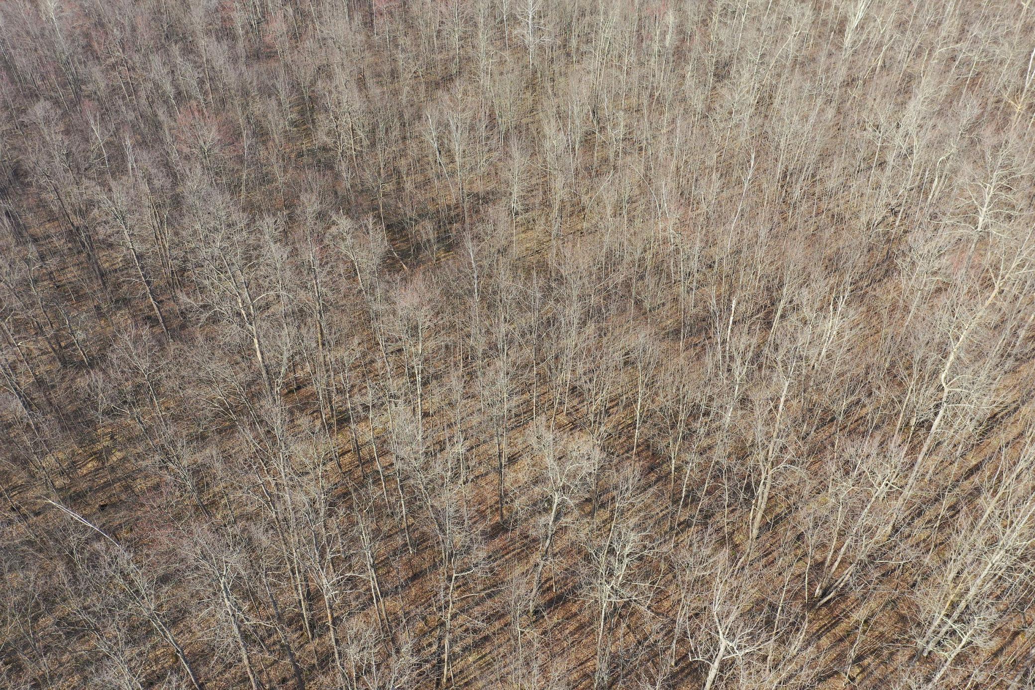 W9618 Mile Road Exeland, WI 54835 - Photo 34 of 38