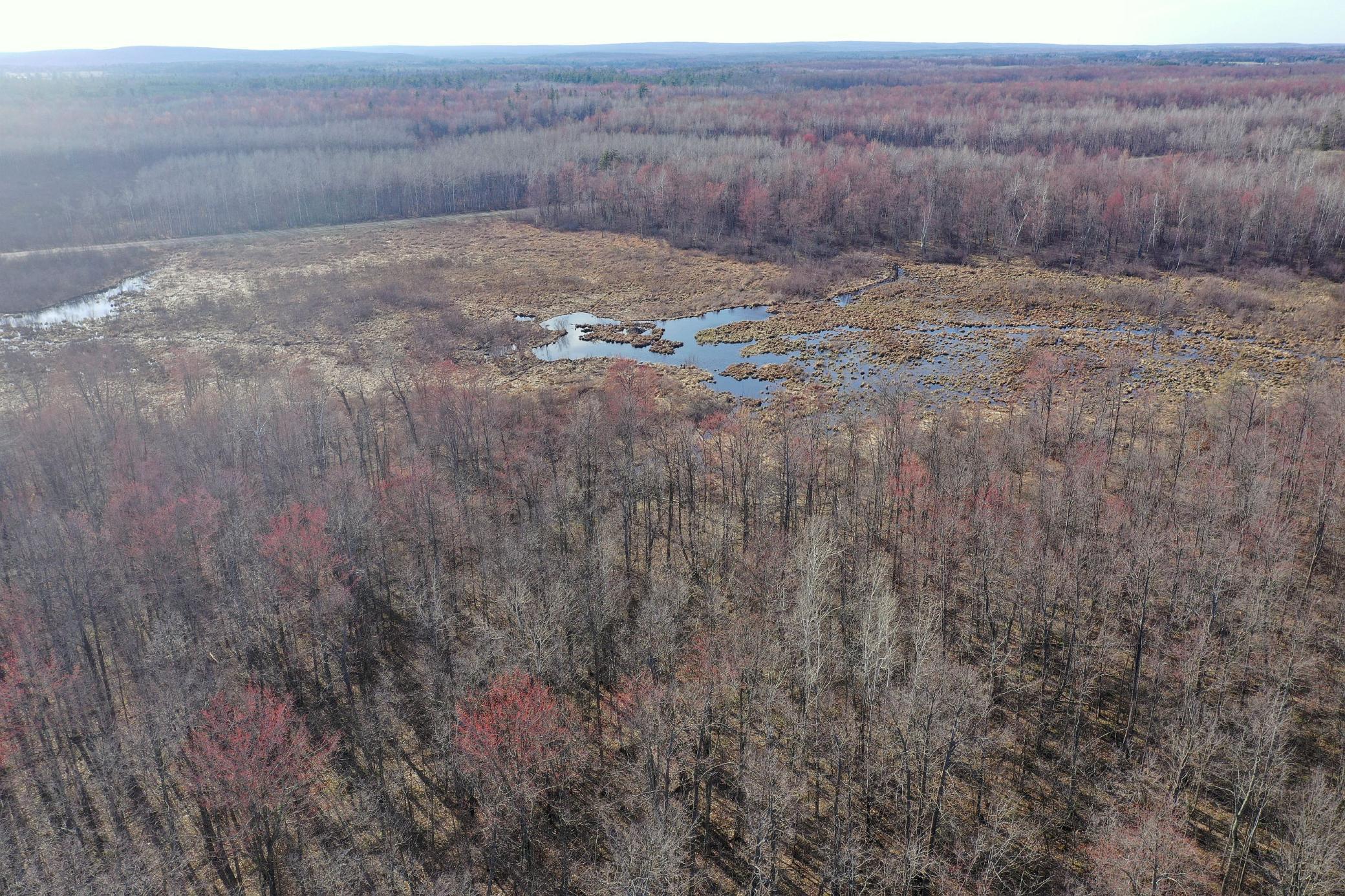 W9618 Mile Road Exeland, WI 54835 - Photo 35 of 38