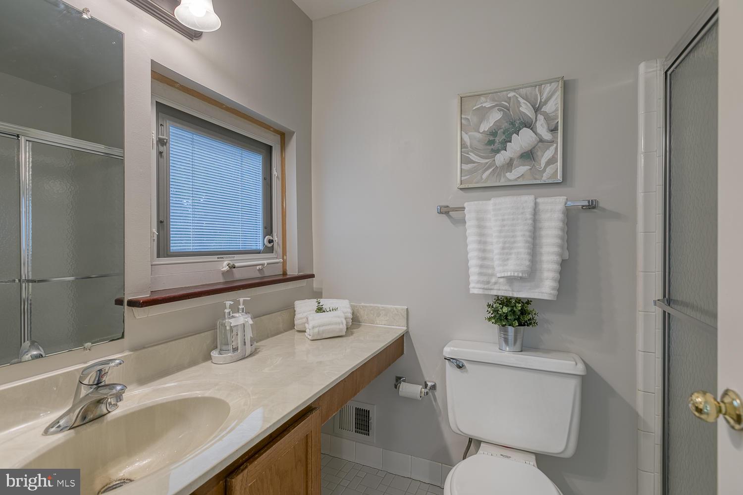 11510 Sunder Court Reston, VA 20190 - Photo 32 of 50 Master bath