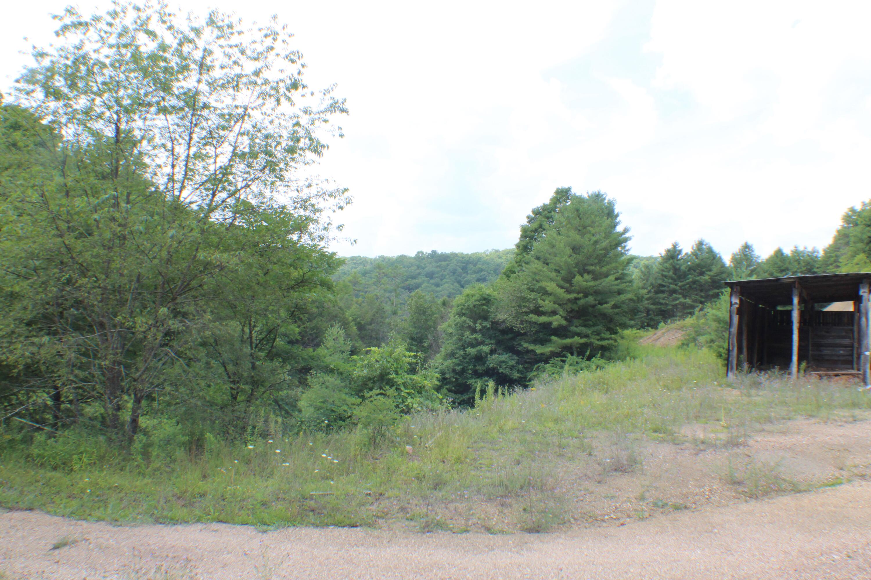 91 Rider Run Road Marlinton, WV 24954 - Photo 6 of 12 Gallery Image 6