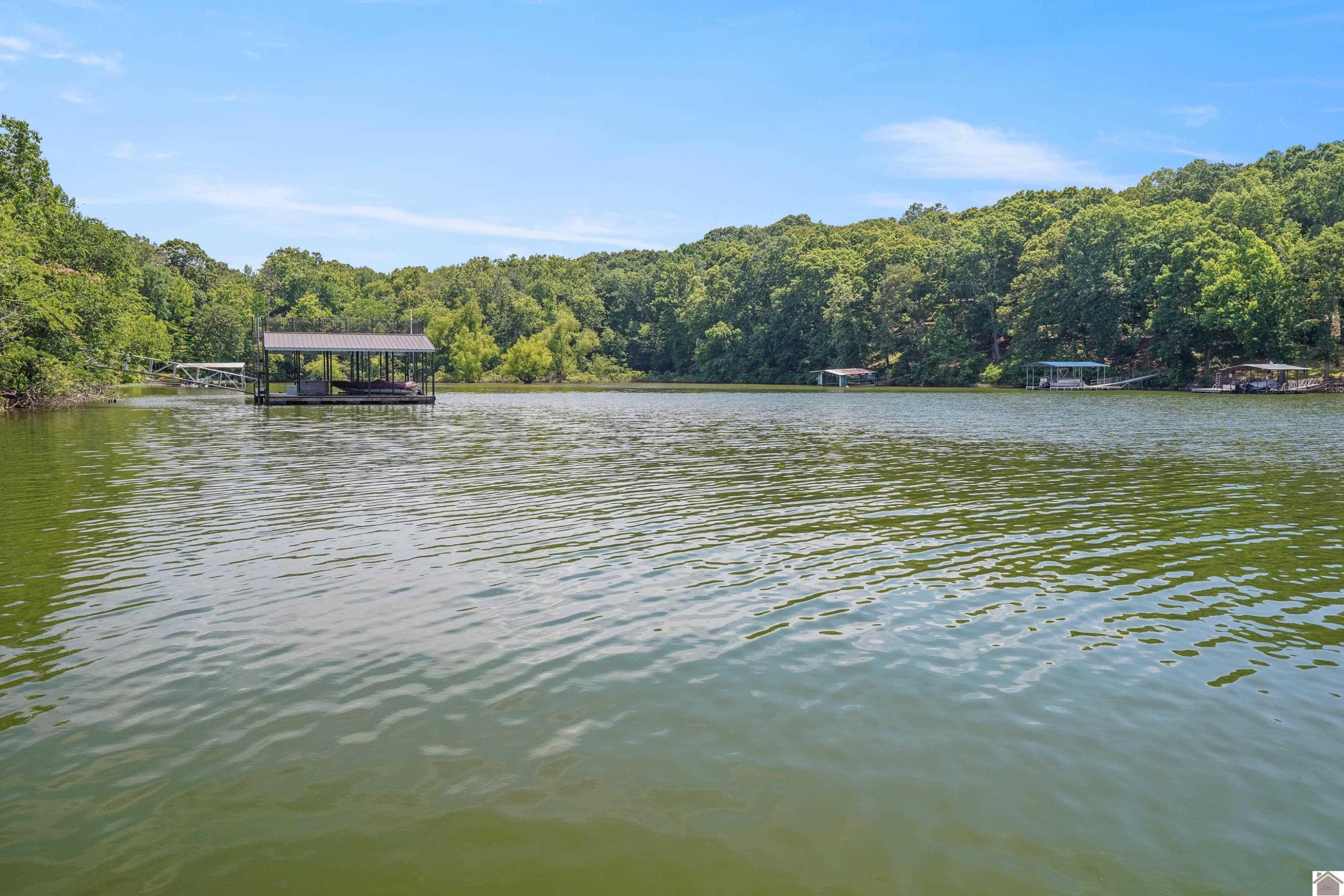 1621 Shoemaker Road, Unit KENTUCKY LAKE Benton, KY 42025 - Photo 4 of 35 Photo 4