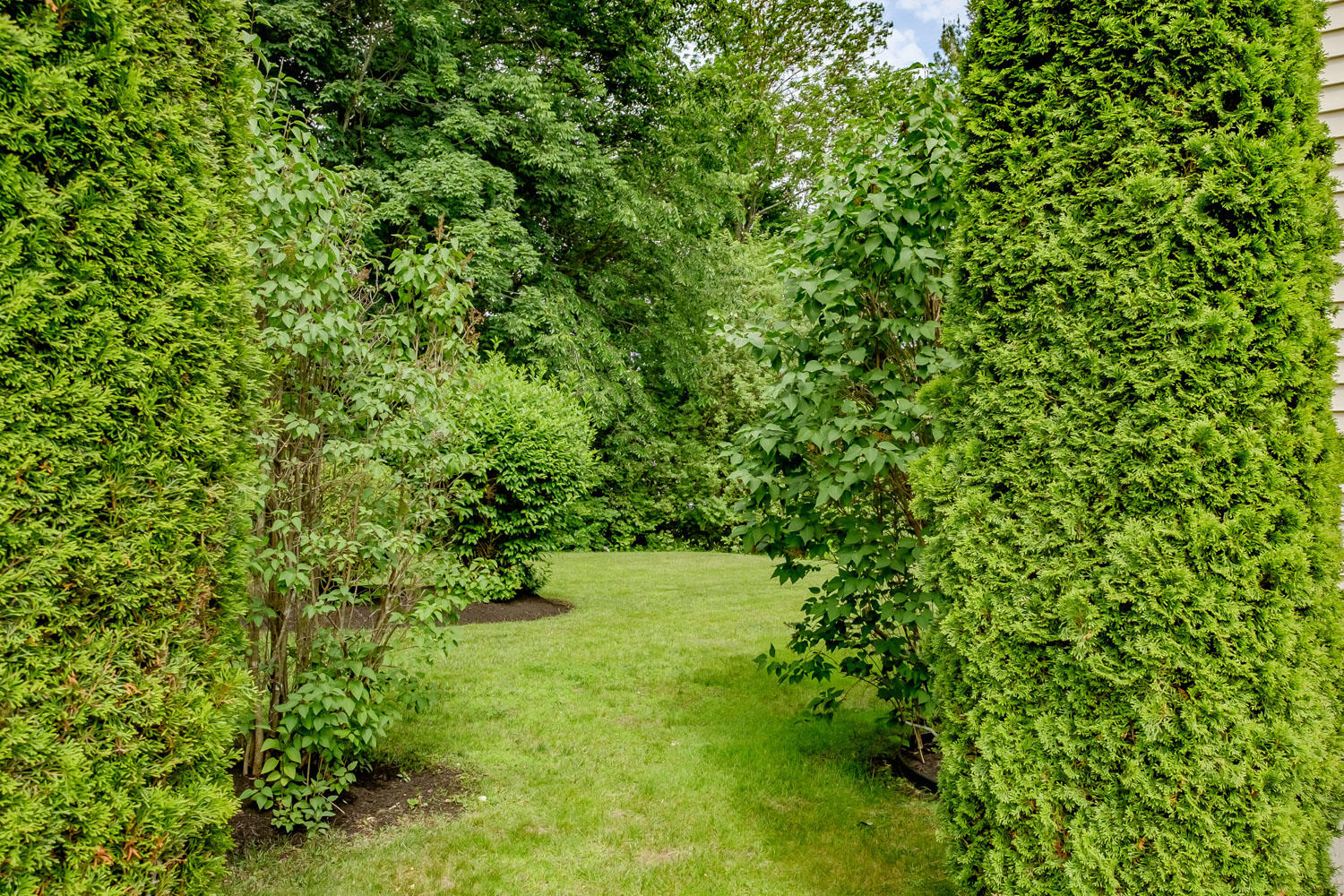 450 Saco Street, Unit 4 Westbrook, ME 04092 - Photo 49 of 61 20190619gp-62051
