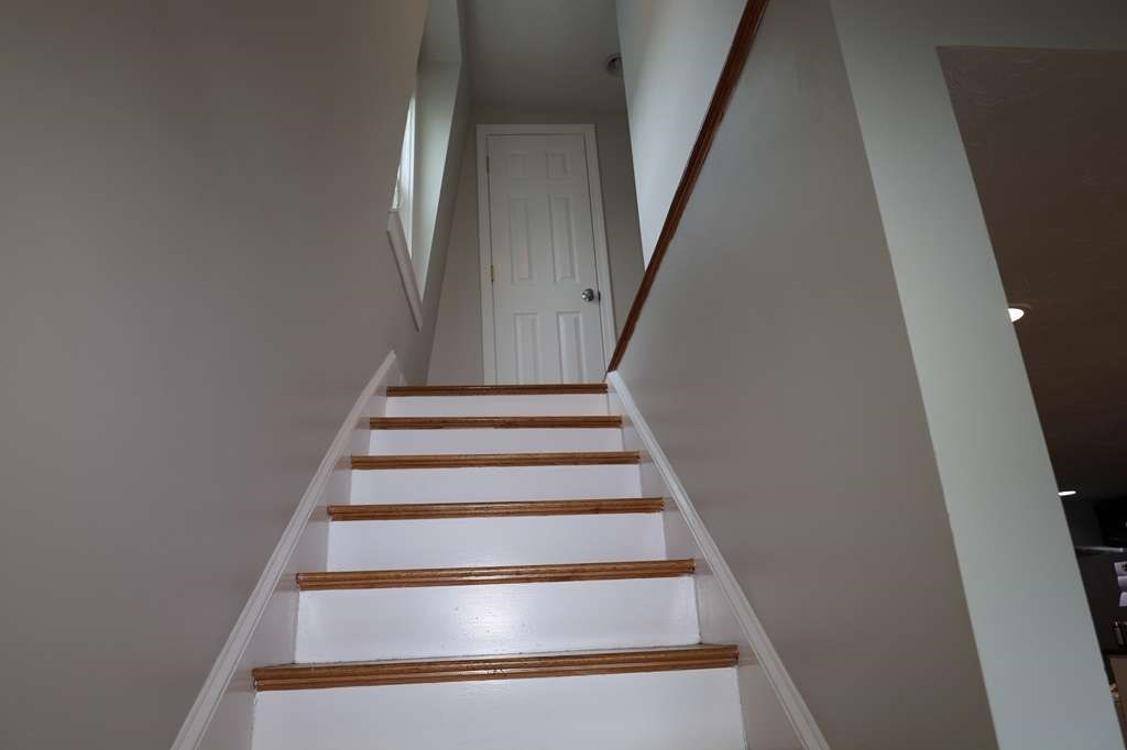 7 Jaques Street Somerville, MA 02145 - Photo 16 of 18