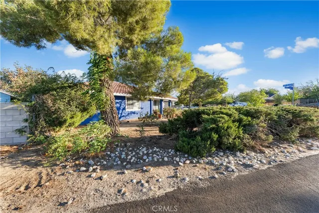 a view of a yard with plants and trees