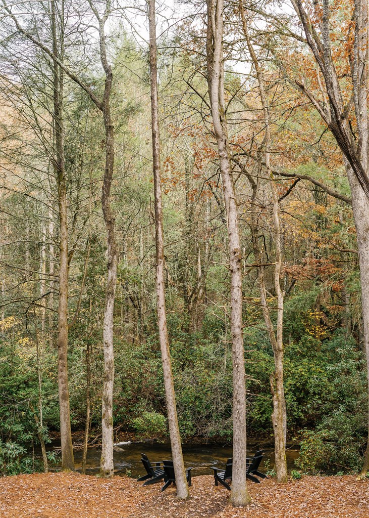 340 Hemlock Trail Blue Ridge, GA 30513 - Photo 78 of 91 Gallery Image 78