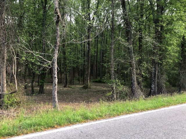 Lot 18 Mcswain Road Chesnee, SC 29323 - Photo 4 of 5
