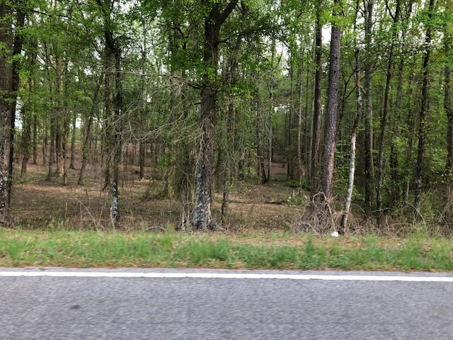 Lot 18 Mcswain Road Chesnee, SC 29323 - Photo 5 of 5