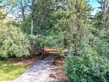 a view of a yard with a tree