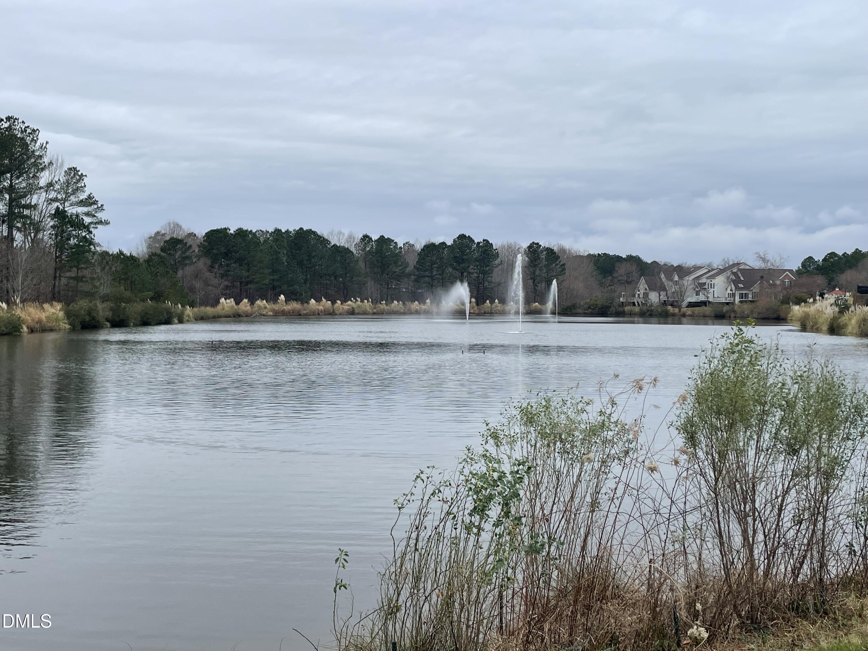 10411 Rosegate Court, Unit 3 Raleigh, NC 27617 - Photo 20 of 62 a view of lake with mountain