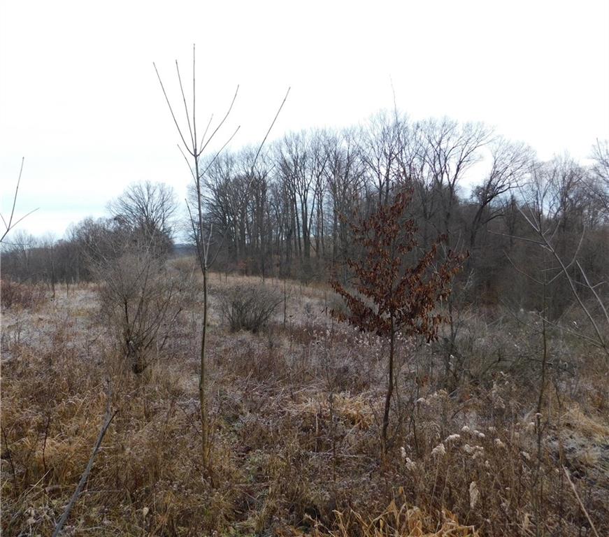 0 Quaker Ridge Road Claysville, PA 15323 - Photo 4 of 4 a view of a forest that has a tree