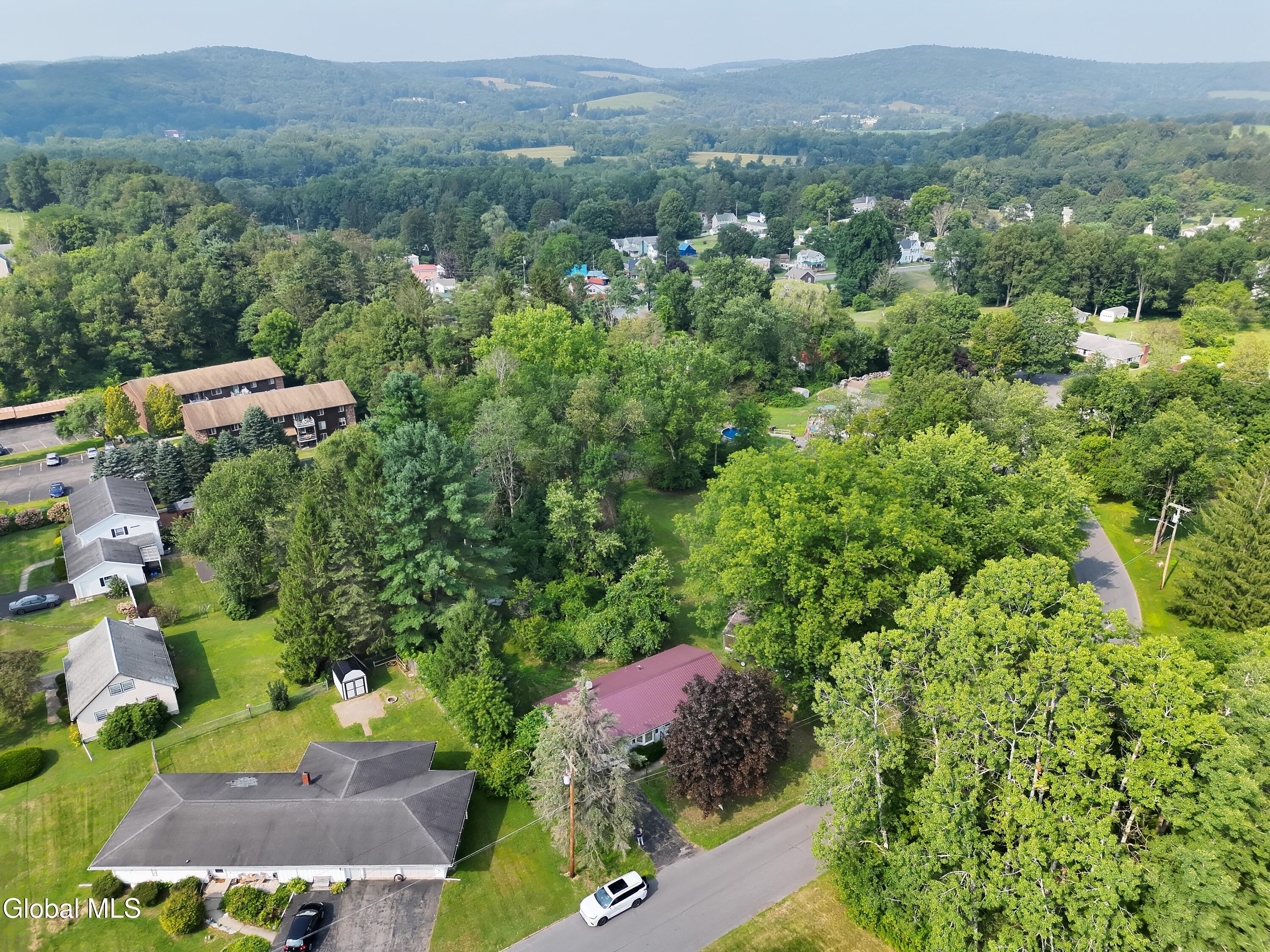 10 Cayuga Street Sidney, NY 13838 - Photo 2 of 22 org_2fd6618c52114f14_1754424802000