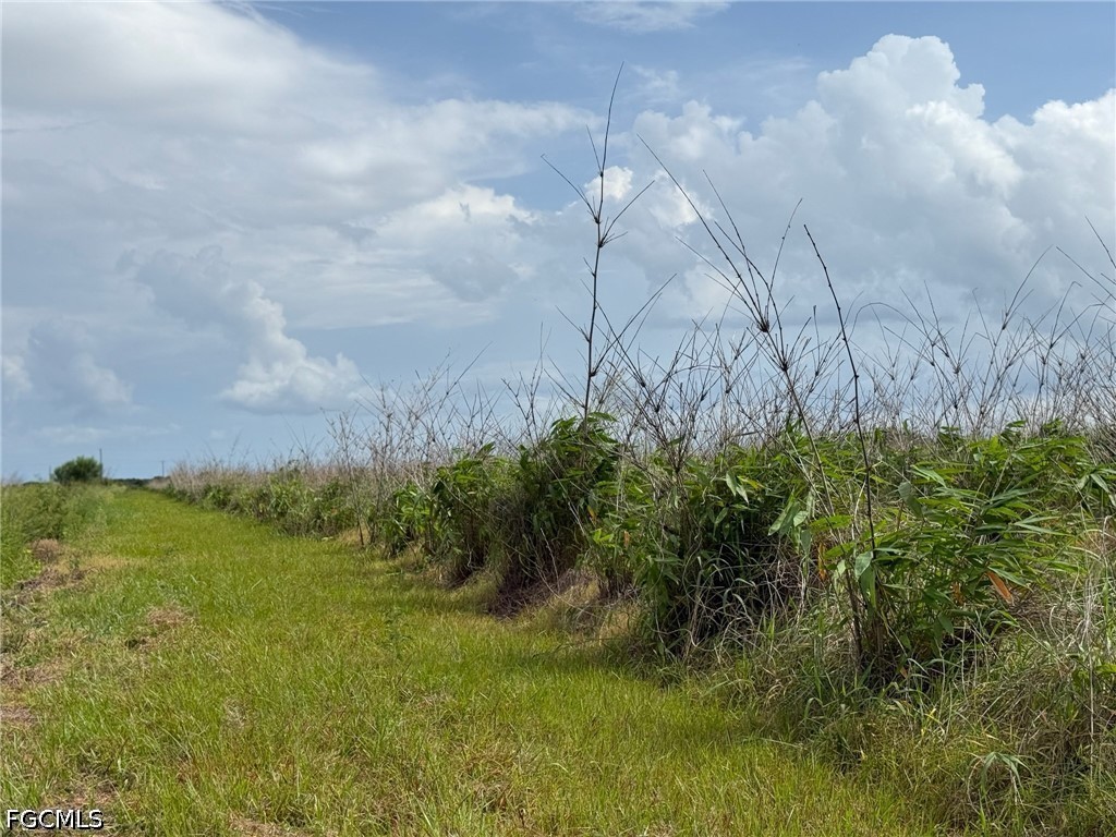 6658-6680 4th Road LaBelle, FL 33935 - Photo 6 of 14 a view of a garden
