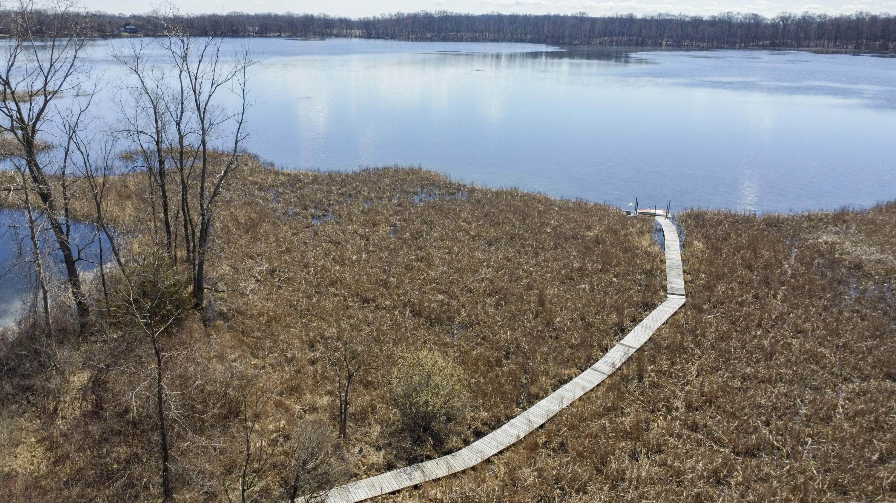 14287 Island Lake Road Chelsea, MI 48118 - Photo 86 of 94 034_16