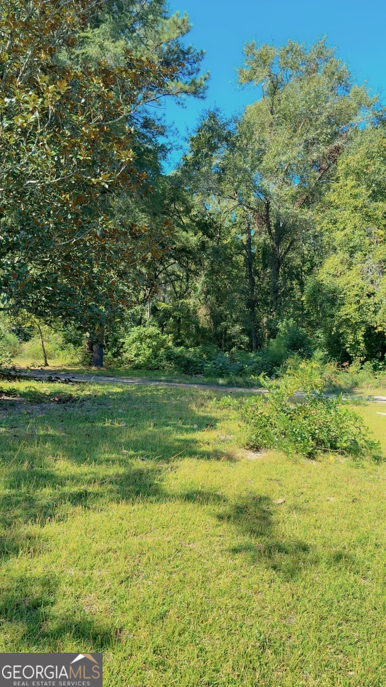 a view of outdoor space with a garden and trees