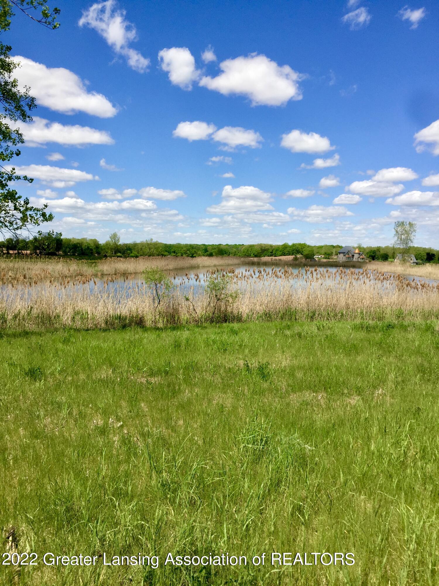 943 Bray Road Williamston, MI 48895 - Photo 2 of 15 IMG_2074