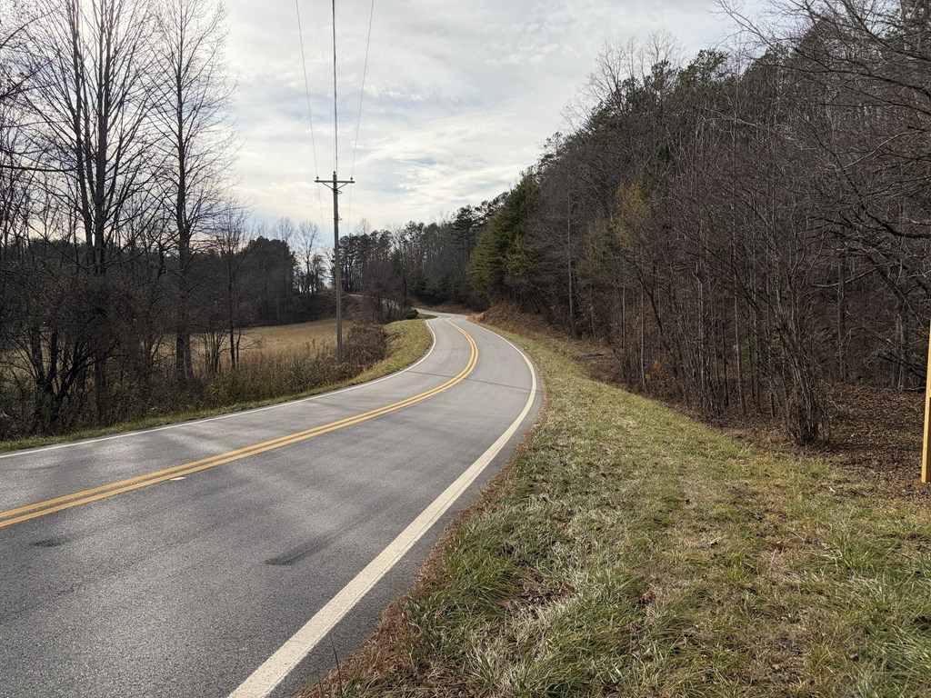 56.6-ac Cutcane Road Mineral Bluff, GA 30559 - Photo 13 of 15 a view of a road with a yard in front of it