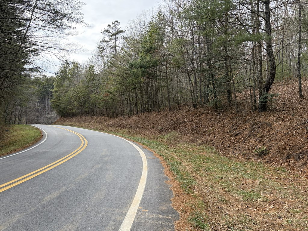 56.6-ac Cutcane Road Mineral Bluff, GA 30559 - Photo 14 of 15 a view of a backyard with large trees